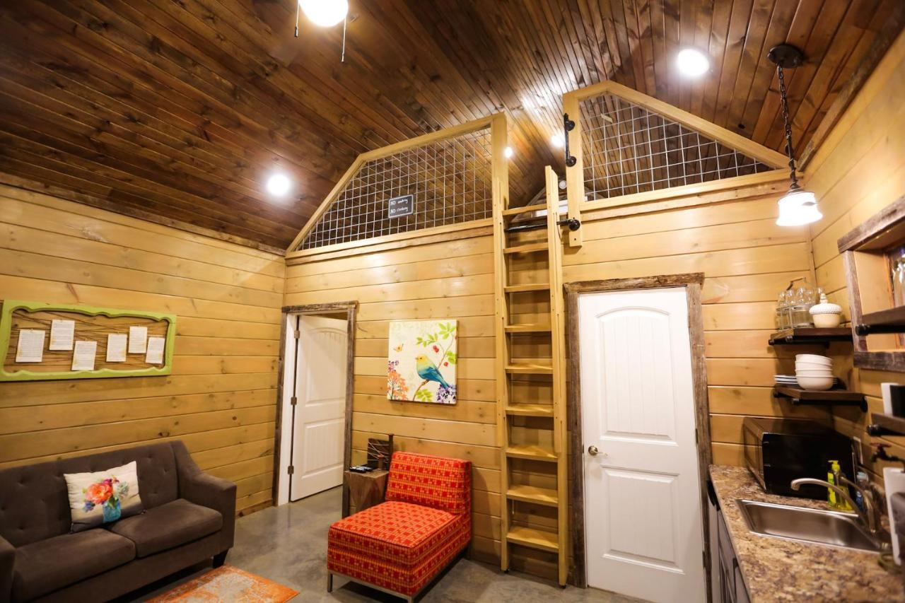 Knotty Squirrel Cabins Mountain View Ngoại thất bức ảnh