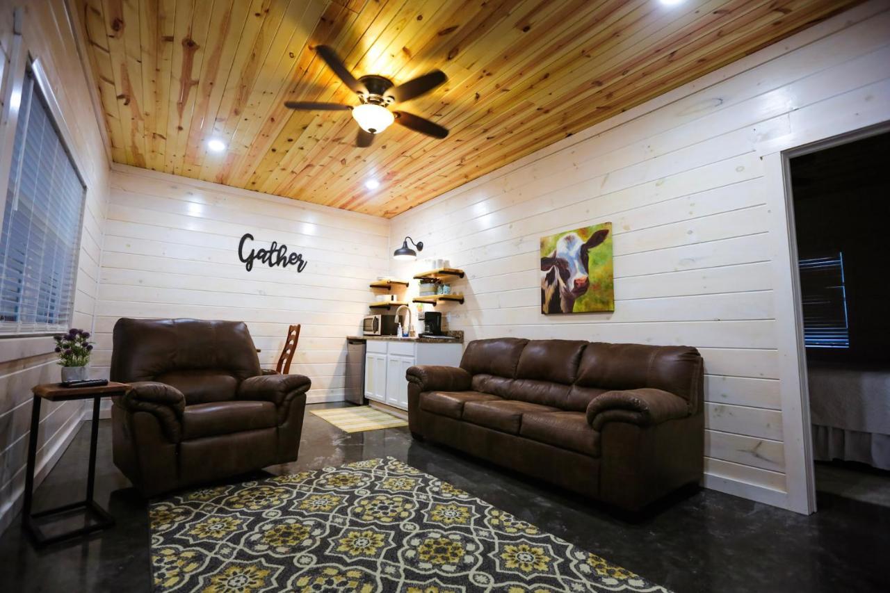 Knotty Squirrel Cabins Mountain View Ngoại thất bức ảnh