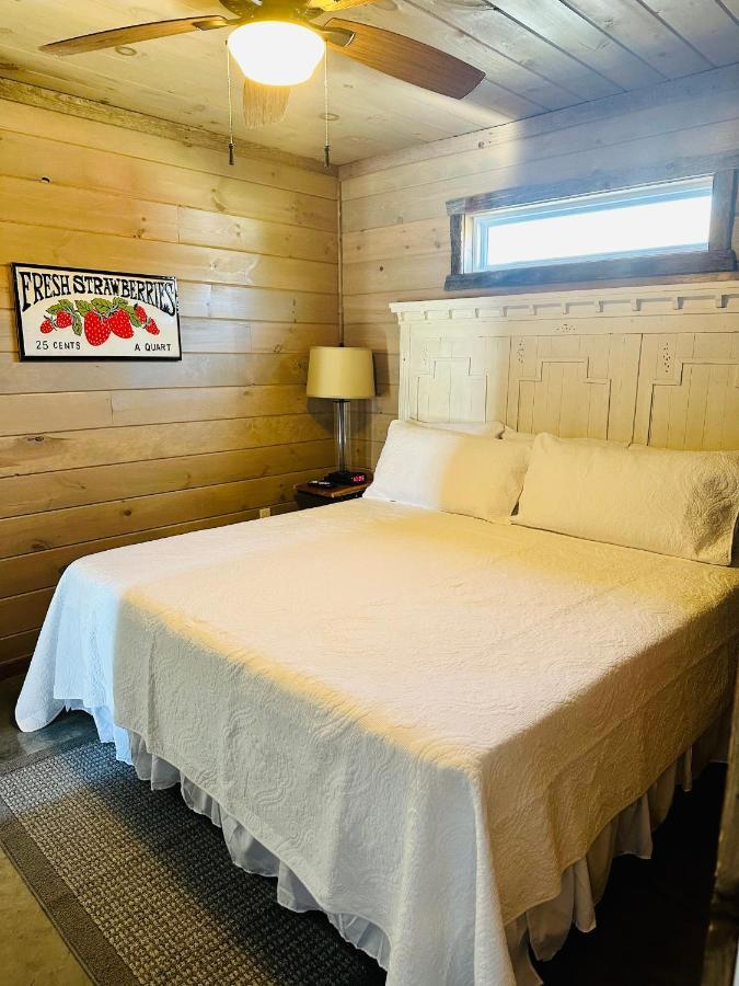 Knotty Squirrel Cabins Mountain View Ngoại thất bức ảnh