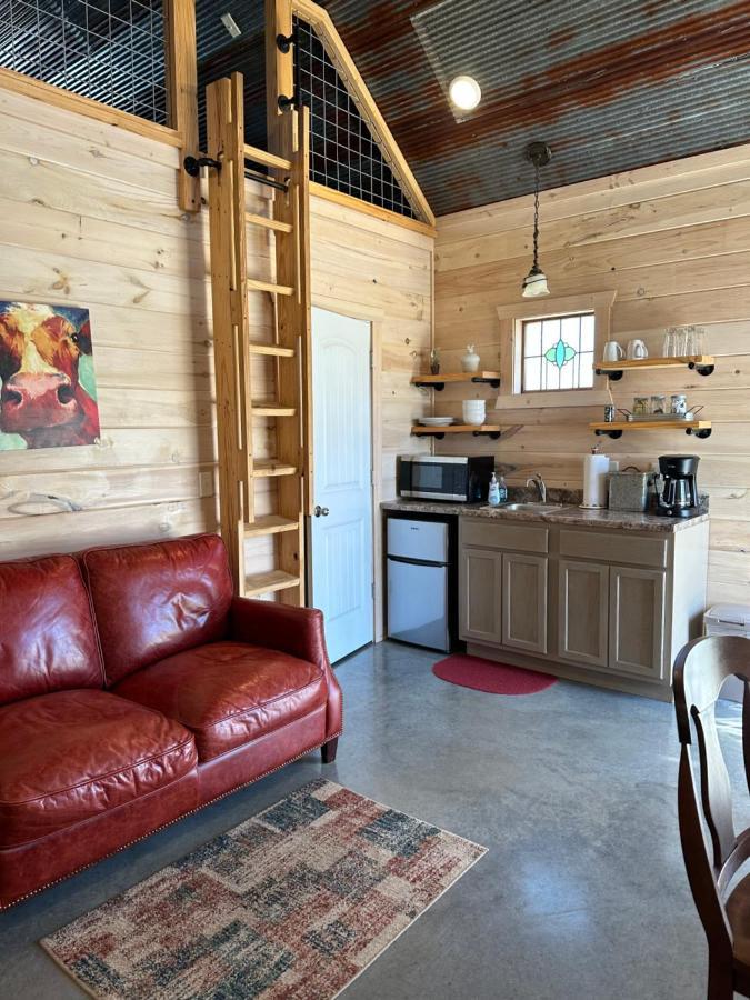 Knotty Squirrel Cabins Mountain View Ngoại thất bức ảnh